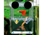 Double-layer Transparent Fish Breeding Tank Versatile Aquarium Isolation Box