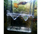 Double-layer Transparent Fish Breeding Tank Versatile Aquarium Isolation Box