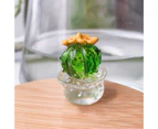 4Pcs Cactus Ornament Transparent Realistic Simulated Cute Resin Cactus Figurine Home Car Decor for Gift