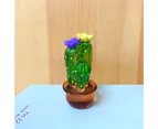 4Pcs Cactus Ornament Transparent Realistic Simulated Cute Resin Cactus Figurine Home Car Decor for Gift