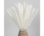 30pcs Reed Grass Plumes,Dried Flower for DIY Wedding Party Decor