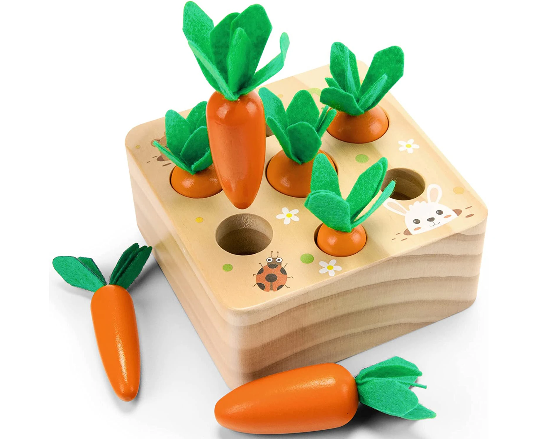 Montessori Toys for 6-12 Months,Wooden Toys Developmental Shape Sorting