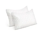 Set of 2 Rayon Single Memory Foam Pillows