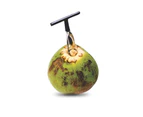 Coconut Opener, Stainless Steel Coconut Knife Tool for Fresh Green Young Coconut Water