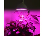 6/10/15/20W Red Blue Full Spectrum Greenhouse Garden Indoor Plant Grow Light-1#