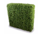 Deluxe Portable Buxus Hedges UV Stabilised 100cm Long X 100cm High