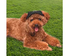 Dog Hat, Pet Baseball Cap/Dogs Sport Hat/Visor Cap with Ear Holes