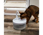 2L Pet Water Feeder Wear-resistant Easy Installation Plastic Quiet Operation LED Drinking Dispenser for Daily