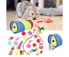 22Pcs/Set Cat Toys Multiple Type Interactive Toy Assortments Kitten Tunnel Toys Set for Indoor-22PCS