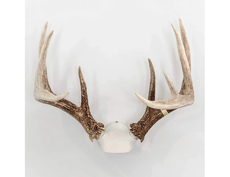 Bone Collector The Change Up Antler Mounting Kit with Skull Cap by Big 8 Products