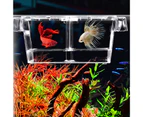 Aquarium Hatching Incubators Large Space Double Layer Transparent Plastic Fish Tank Breeding Isolation Box Aquarium Supplies