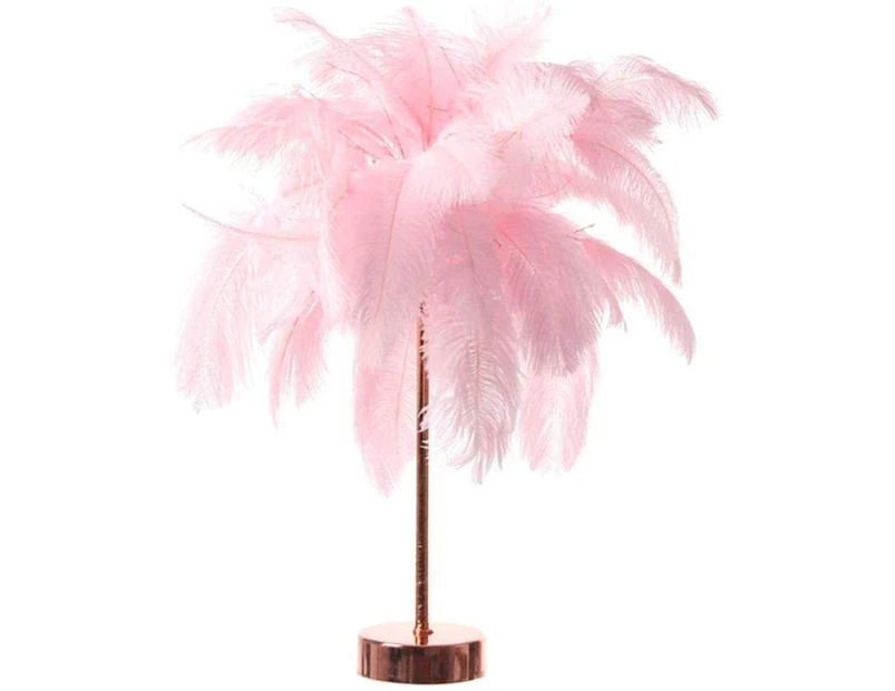 Contemporary and unique large pink real feather decorated feather shadow light