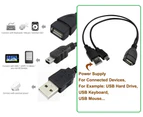 Powered Mini USB Male To USB Female OTG Adapter Cable For MP3 MP4 GPS U-Disk Tablet External Portable Hard Drive