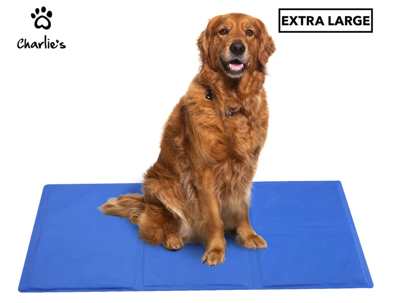 Charlie's Extra Large Pet Cooling Mat - Blue
