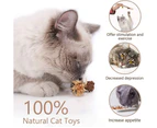 4PCS Cat Chew Sticks,Catnip Stick,Catnip Sticks,Cat Grass Stick,Molar Cat Interactive Stick,Catnip Toys Sticks,Cat Toy Stick,Cat Stick