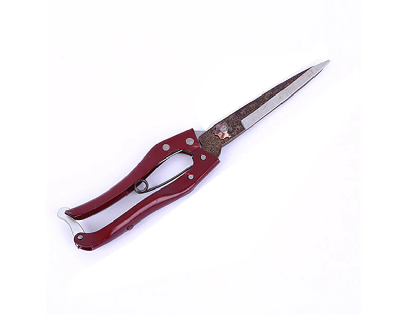 Hand Shears for Gardening or Sheep Shearing -  Topiary/Hedge Scissors for Pruning
