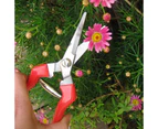 Multi-Tasking Garden Snips for Arranging Flowers, Trimming Plants, Harvesting Herbs, Fruits