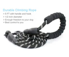 5 FT Strong Dog Leash with Comfortable Padded Handle and Highly Reflective Threads Dog Leashes for Medium and Large Dogs