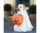 Halloween Dog Candy Holder, Outdoor Halloween Candy Bowl, Halloween Candy Bowl Large Pumpkin Candy Dish-Cat