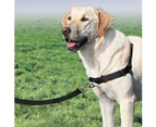 Petsafe Easy Walk Harness with Front Attachment Lead [Size: Small]