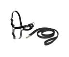 Petsafe Easy Walk Harness with Front Attachment Lead [Size: Small]