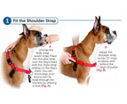 Petsafe Easy Walk Harness with Front Attachment Lead [Size: Small]