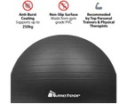 METEOR Anti-Burst Swiss Ball,Yoga Ball,Gym Ball,Exercise Ball