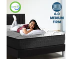 King Single Size Bed Medium Firm Foam Mattress Bonnell Spring 16cm