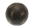 Arsenal FC Sig Gold Phantom Skill Ball