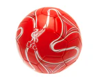 Liverpool FC Skill Ball CC