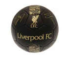 Liverpool FC Skill Ball Signature Gold PH