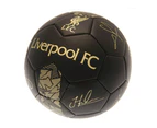 Liverpool FC Skill Ball Signature Gold PH