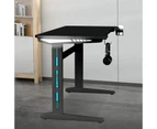 MIUZ Gaming Desk Office Computer Desk Home Study Work Table Racer Carbon Fiber Table RGB LED 140cm - Black