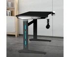 MIUZ Gaming Desk Office Computer Desk Home Study Work Table Racer Carbon Fiber Table RGB LED 140cm