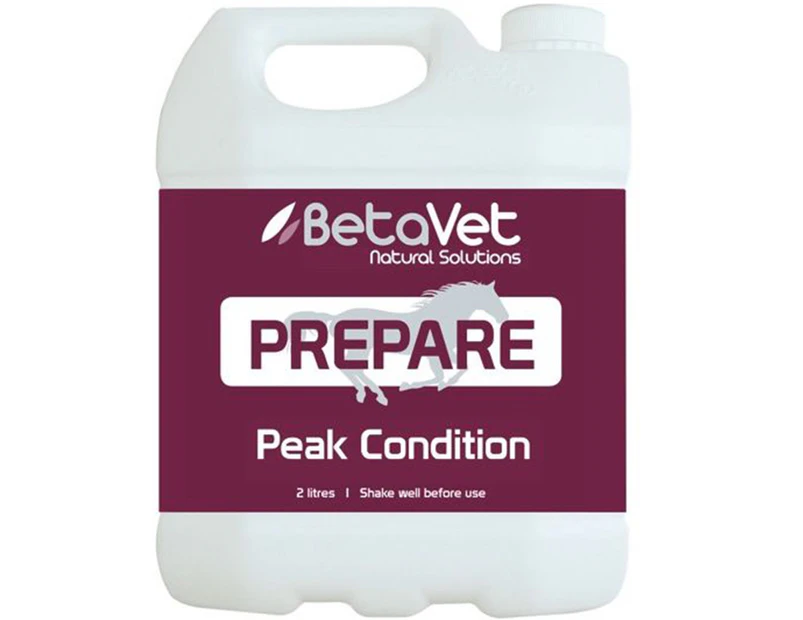 BetaVet Natural Solutions Horse Prepare Peak Condition Supplement 2L