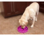 Outward Hound Fun Feeder Interactive Slow Bowl for Dogs - Purple Flower