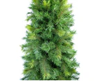 Slimline Pine Traditional Christmas Tree With 826 Tips - 2.3m - Green