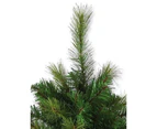 Balsam Pine Table Top Christmas Tree with 104 Tips - 65cm - Green