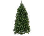 Rocky Mountain Fir Traditional Christmas Tree With 1077 Tips - 1.8m - Green