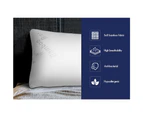 Starry Eucalypt Standard Size Memory Foam Pillow Twin Pack Pillows Cool Gel