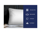 Starry Eucalypt King Size Memory Foam Pillow Twin Pack Pillows Cool Gel