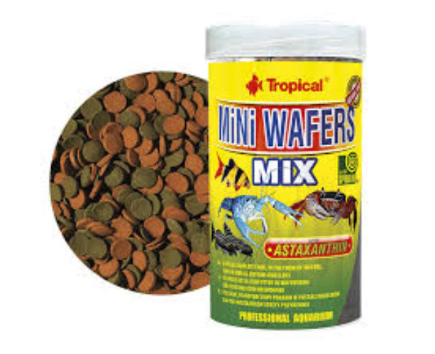 Tropical Mini Wafers Mix 55G