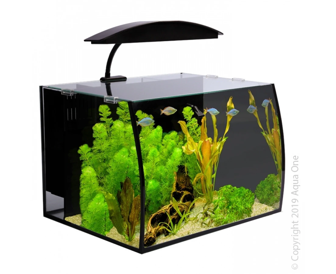 Aqua One Arc 30 Glass Aquarium Set 30L 56233