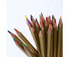 Superior 24pce Artist Watercolour Pencils in Metal Box - Water Colour