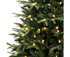 Spruce Pine Pre-Lit Christmas Tree 7ft 210cm