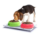 Ant Proof Plate for Dog & Cat Food Bowl - Rectangle 18x30cm