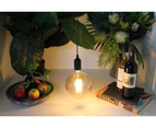Edison LED Light Globe Round Medium 19cm 4 Watt Filament Bulb E27 Amber Warm White - Clear