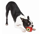 Planet Dog Orbee Tuff Strawberry Medium Top Rated Toy Floats - Local Aus Seller