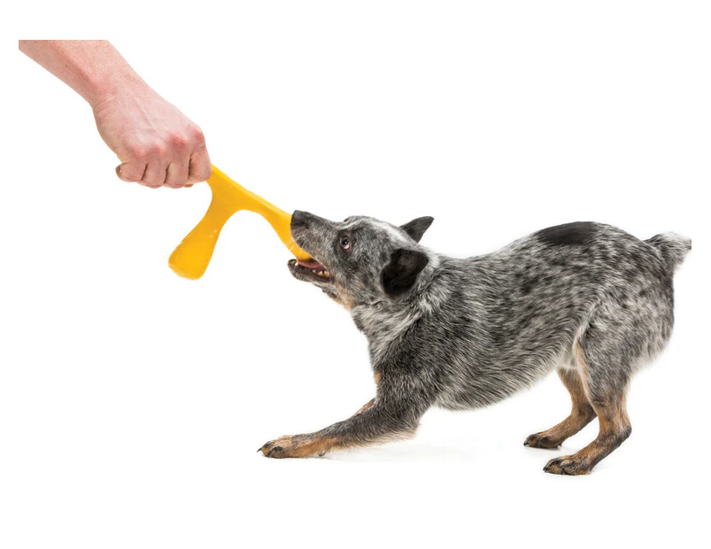 Zogoflex Air Wox Tug And Fetch Toy For Dogs By West Paw Design [Colour: Yellow]