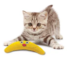 Petstages Green Magic Boomerang Catnip Cat Toy